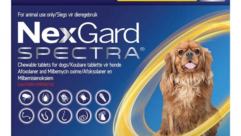 Cheapest Nexgard Spectra Chewable Online | Best Price at PetCareSupplies