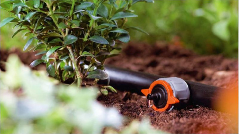 Irrigation by drip or trickle is sometimes called drip irrigation