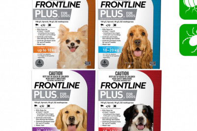 Buy Frontline Plus for Dogs to Control and Treat Flea Ticks