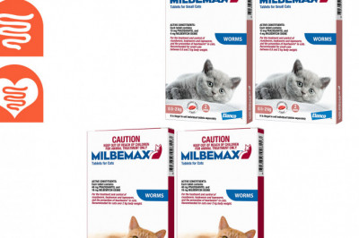 Need to Control Worms for Your Cats? Trust Milbemax