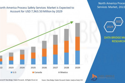 North America Process Safety Services Market Research, Competition Scenario, and Product Portfolio