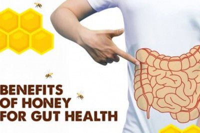 Raw Honey For Good Gut Health