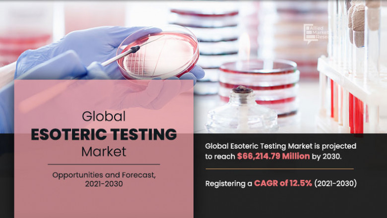 Esoteric Testing Market Rewriting Long Term Growth Story