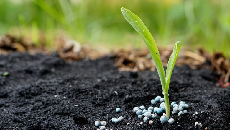 Fertilizer Market Demand from 2021-2027| Research Informatic
