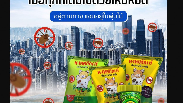 Fleas And Tick Medicines - How you can Pick A Appropriate One For the Pet