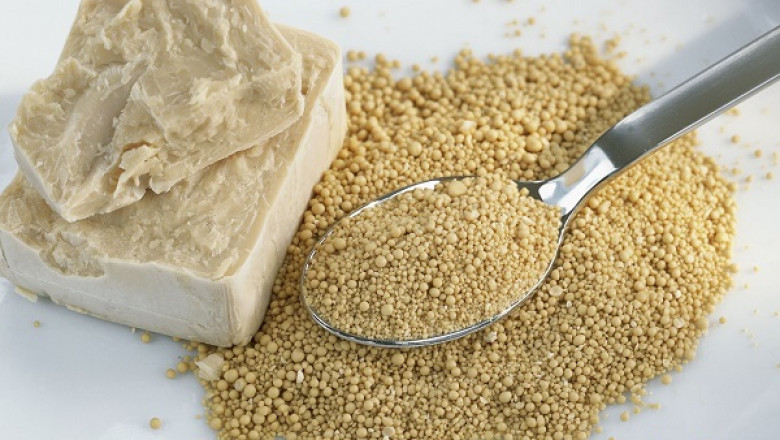 Global Yeast Market Size is Expected to reach USD 8.05 Billion by 2028 at a CAGR of 9.5%