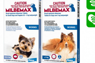 Milbemax Allwormer for Dogs