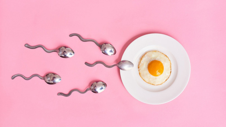 Natural remedies to get pregnant fast