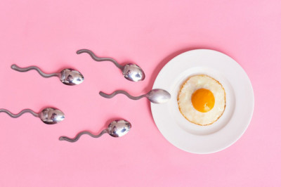 Natural remedies to get pregnant fast