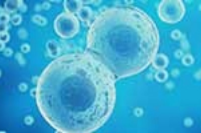 The Demand and Growth of Cell & Gene Therapy Manufacturing Services Market