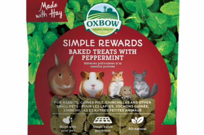 Buy Oxbow Peppermint Treats Online | DiscountPetCare