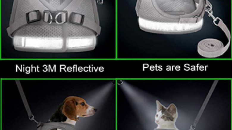 GAUTERF Visibility Pet Harness & Leash – The Best Quality Leash Available