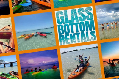 Stand Up Paddle Board Rentals