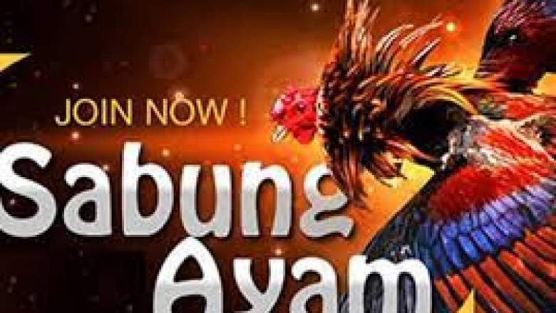judi online game in indonesia Can Be Fun For Anyone