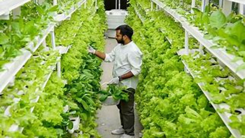 North America Indoor Farming Market is expected to grow at a 12.87% CAGR in 2027