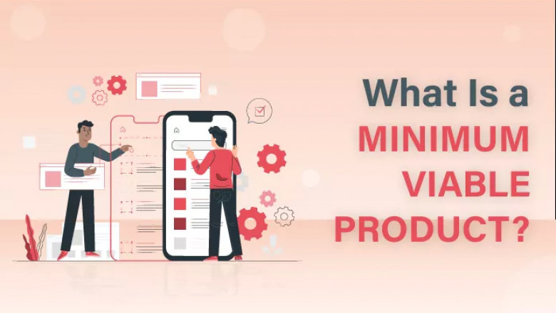 What Is a Minimum Viable Product?