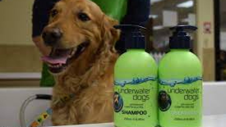 Best Smelling Dog Shampoo and Conditioner Online