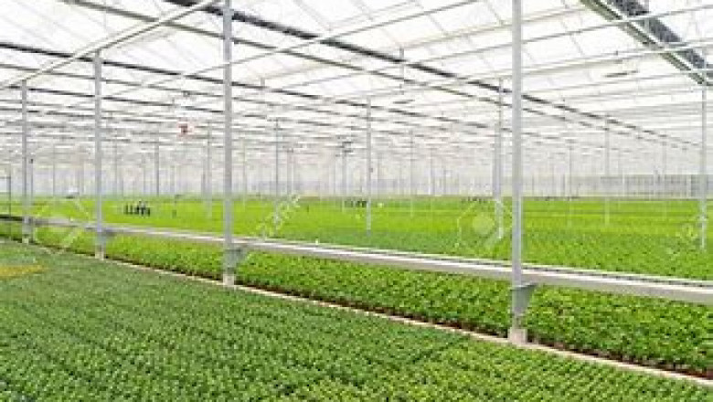 Global Commercial Greenhouse Market Size , Share , Growth , Analysis , Forecast in 2027