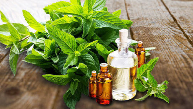 Natural Linalool Market Outlook : Post Covid-19 Scenario by 2030