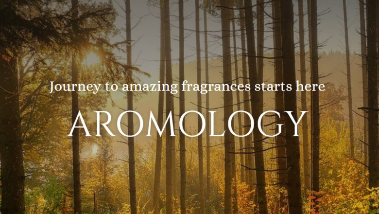 Not known Factual Statements About Arabic oud perfume