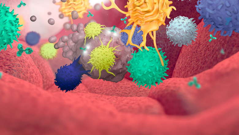 What is Immuno Oncology Assays and how it used for cancer treatment?