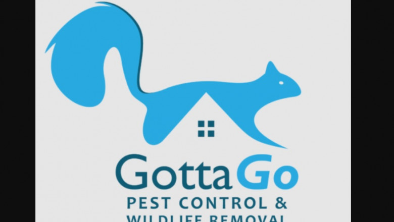 What Will be the Unique Varieties of Pest Control?