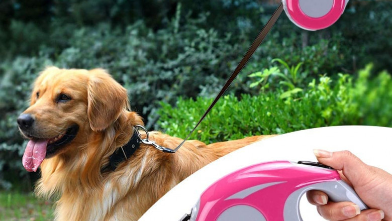 Automatic Retractable Dog Traction Rope Market Research Report by, Cumulative Impact of COVID-19