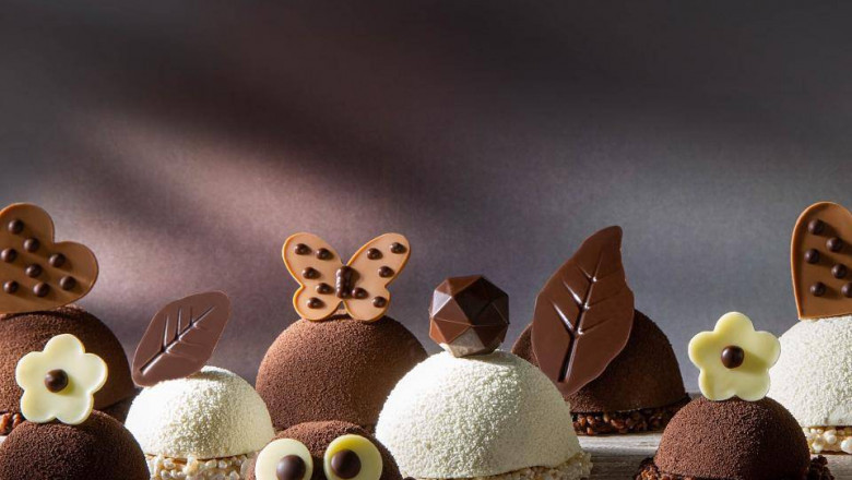Chocolate Inclusions Decorations Market–Industry Analysis and Forecast 2022-2027
