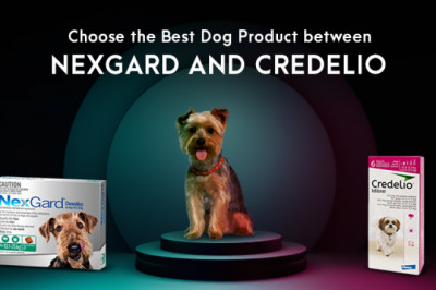Choose the Best Dog Product between Nexgard and Credelio