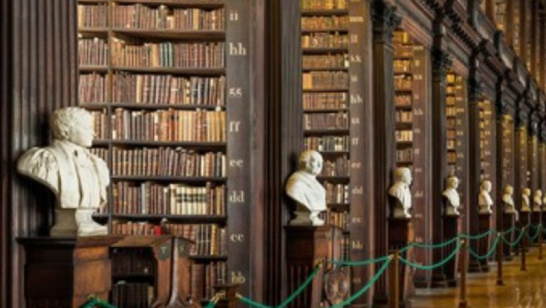 Consult with study in Ireland consultants | Newstrides