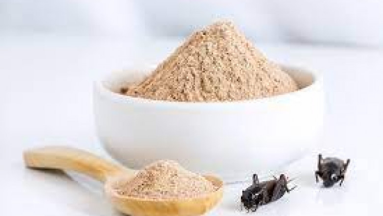 Cricket Protein Powders Market Growth Outlook, Key Vendors, Future Scenario Forecast to 2030