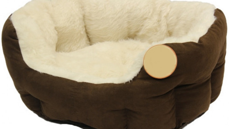 Dog Beds Market Insights 2022, Global Size, Share & Trends Analysis to 2027