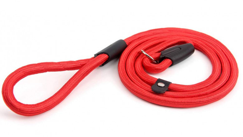 Dog Traction Rope Market 2022-2027 Research Report by Service Model, Industry, Organization Size