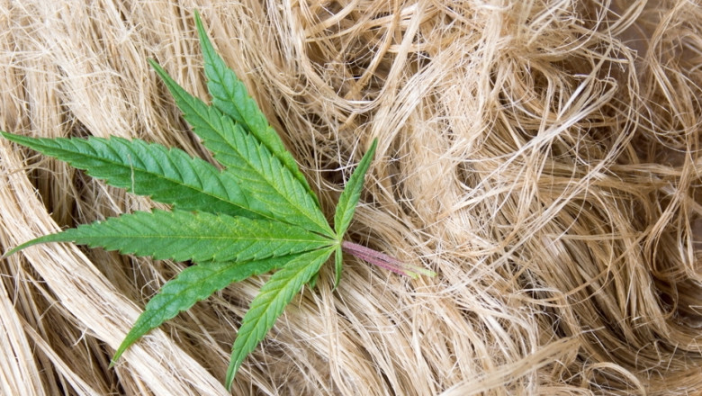 Hemp Bast Fiber Market 2022-2027 Industry Share, Size, Growth Status, Competitive Analysis, and Report