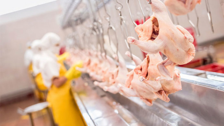 Poultry Processing Plant Market-Industry Analysis, Market Size, Share, Trends, Growth and Forecast 2022-2027