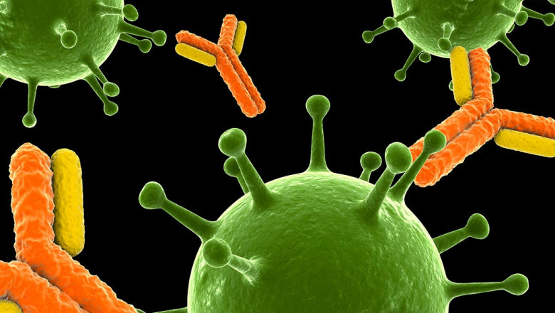Antibodies are members of the Immunoglobulin Superfamily.