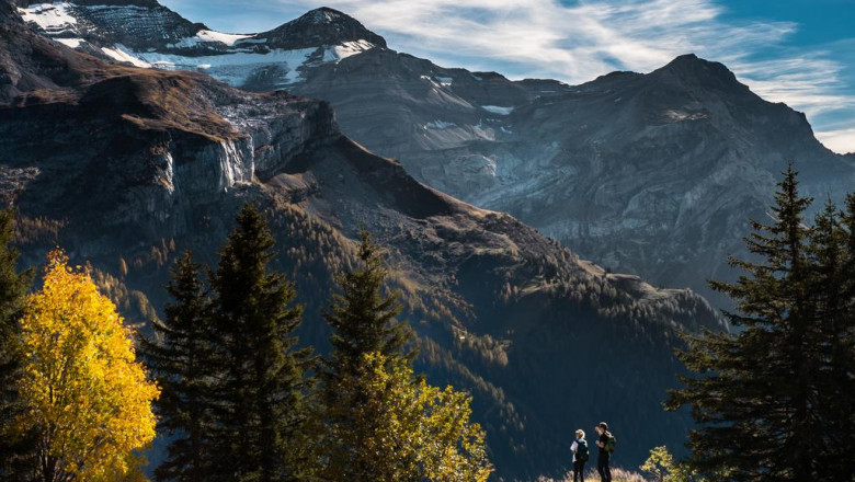 nba 2k23 codex save location