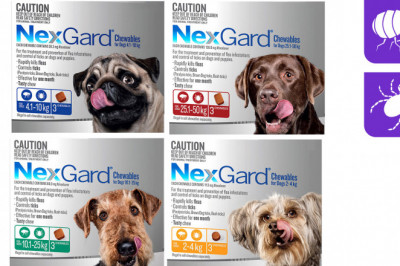 NexGard-The Flea and Tick Protection for Dogs
