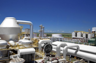 Pheasants International