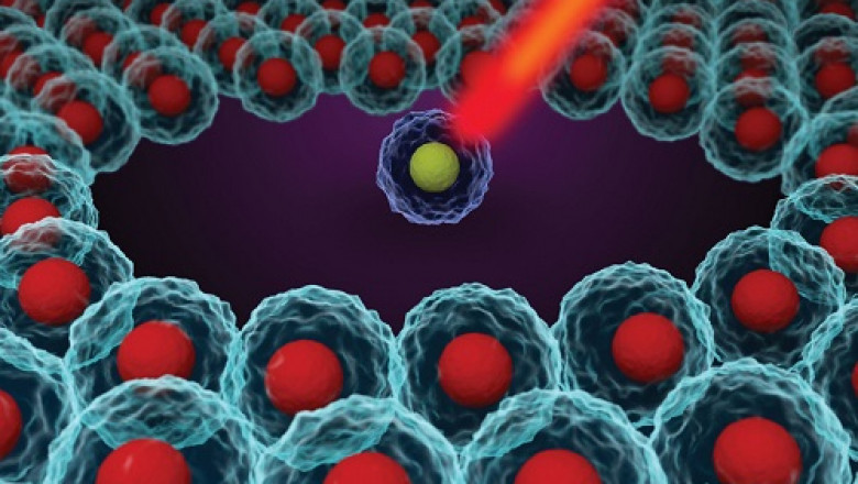To analyze the genetic information within one cell, single cell genome sequencing is a promising technique