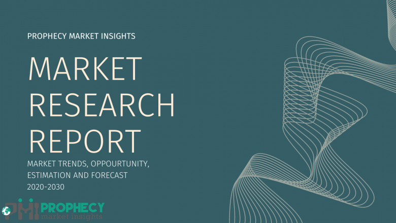 Insect Feed Market