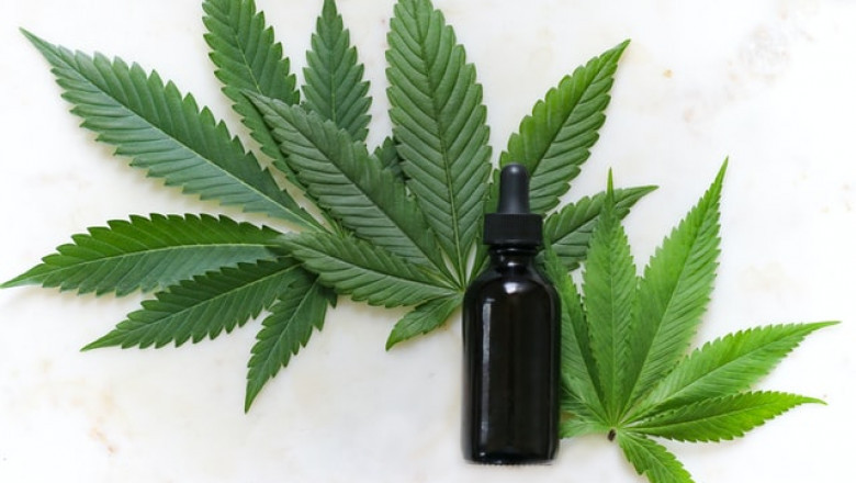 Know About CBD Oil for the Elderly