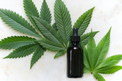 Know About CBD Oil for the Elderly