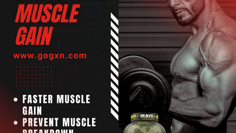 Order GXN Armour Whey Protein at Best Price in India