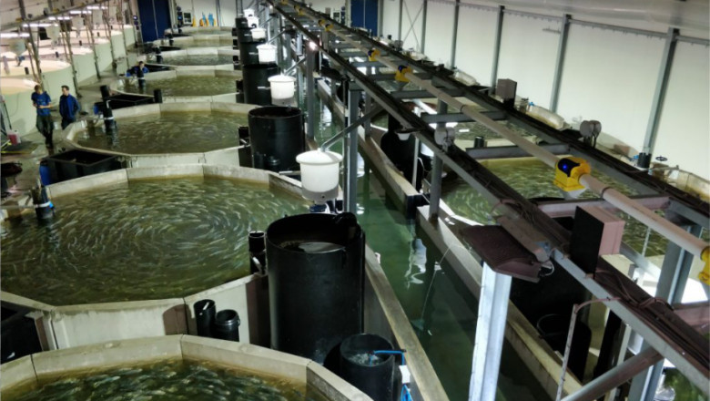 Recirculating Aquaculture System Market Future Scenarios, Growth