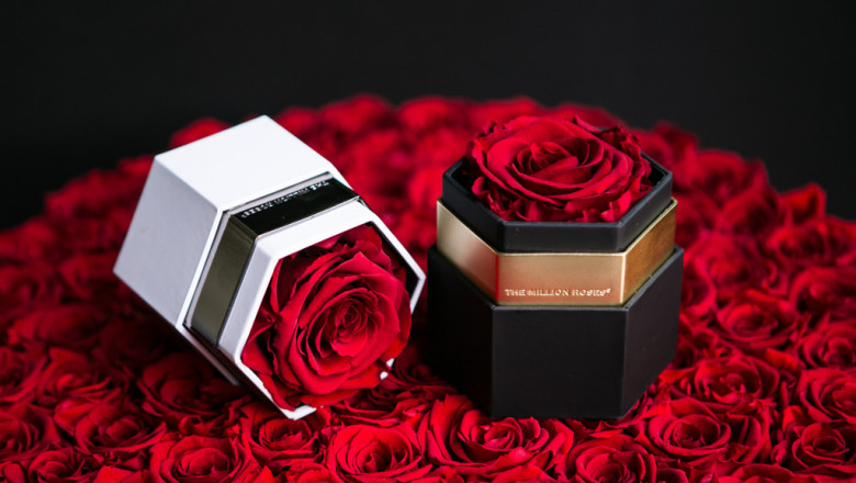 Why ‘Just Because’ Roses Will Be Your Wife’s Favorite