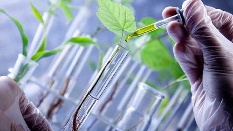 Global Life Science Tool Market | Size, share, analysis, growth opportunity and forecast report to 2028