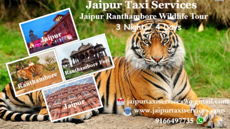 ONE DAY TRIP TO RANTHAMBORE WILDLIFE SAFARI
