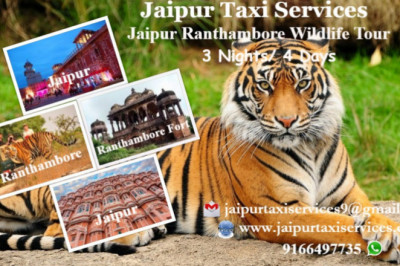 ONE DAY TRIP TO RANTHAMBORE WILDLIFE SAFARI