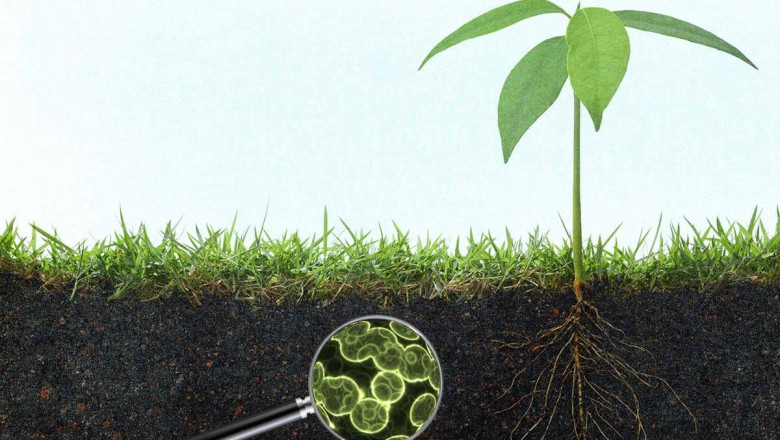 Organic matter needs to be decomposed and old plant material needs to be recycled by agricultural microbes